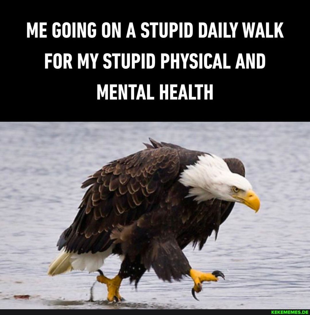 Izvor: https://spassticker.com/me-going-on-a-stupid-daily-walk-for-my-stupid-physical-and-mental-health/