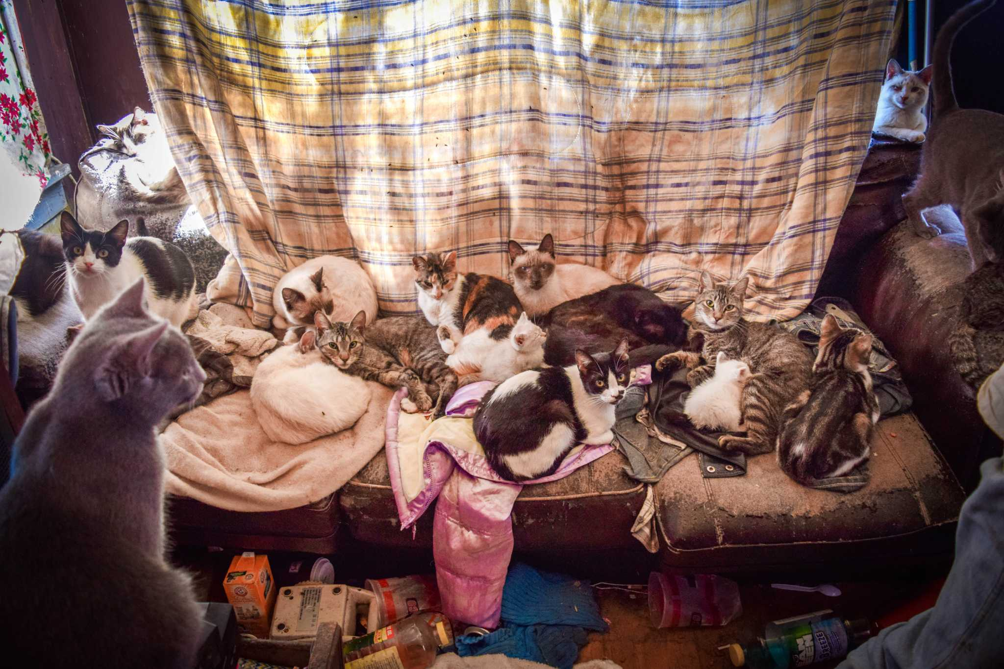 Primjer patološkog nakupljanja životinja