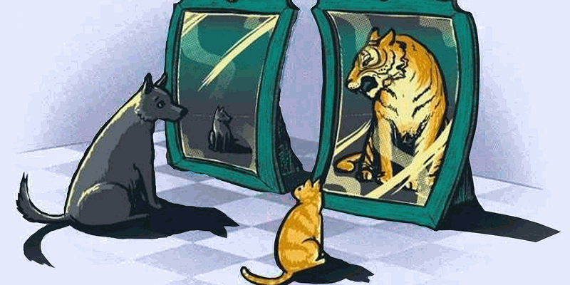Razgovori sa zrcalom - psihologija samopouzdanja