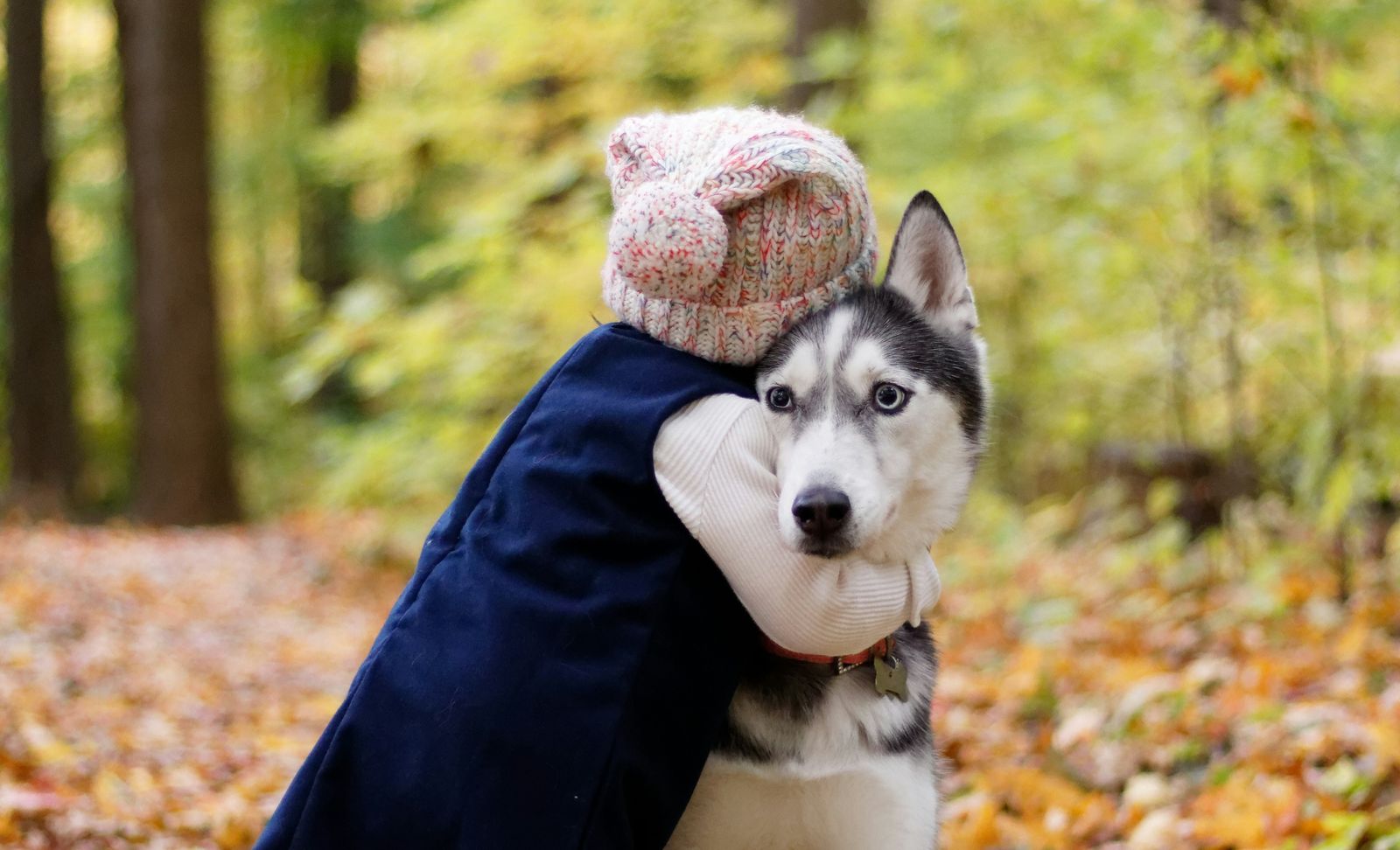 Empatija prema životinjama: tko je ima (više)?