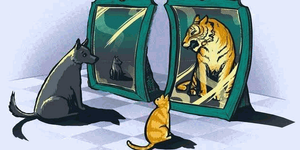 Razgovori sa zrcalom - psihologija samopouzdanja